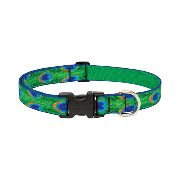 Lupine LupinePet Original Designs Multicolor Tail Feathers Nylon Dog Adjustable Collar 32652 - main